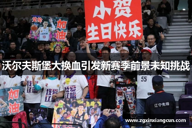 沃尔夫斯堡大换血引发新赛季前景未知挑战