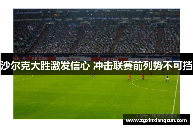 沙尔克大胜激发信心 冲击联赛前列势不可挡