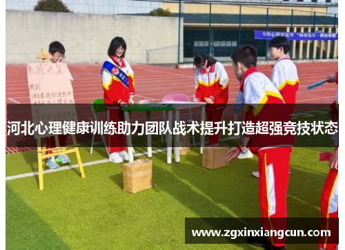 河北心理健康训练助力团队战术提升打造超强竞技状态
