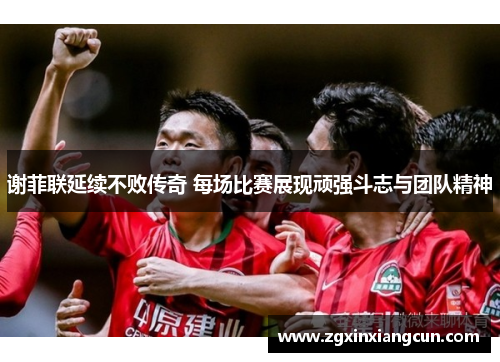 谢菲联延续不败传奇 每场比赛展现顽强斗志与团队精神