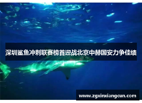 深圳鲨鱼冲刺联赛榜首迎战北京中赫国安力争佳绩