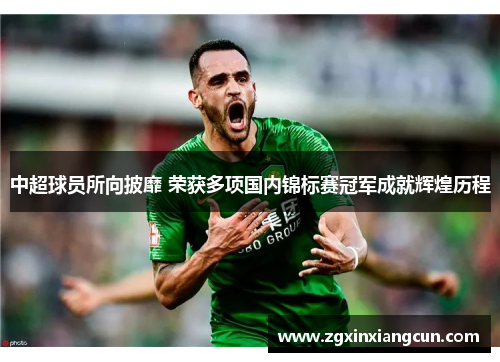 中超球员所向披靡 荣获多项国内锦标赛冠军成就辉煌历程