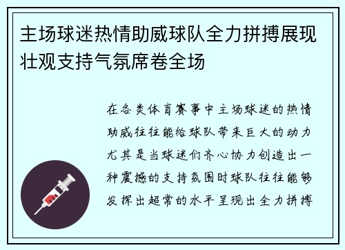 主场球迷热情助威球队全力拼搏展现壮观支持气氛席卷全场